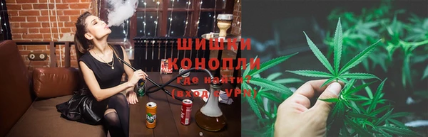 дмт Богданович