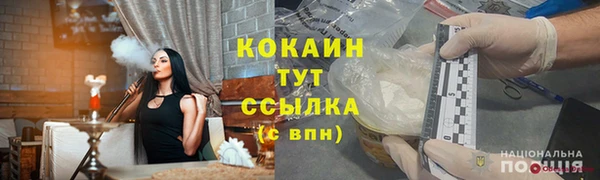 дмт Богданович