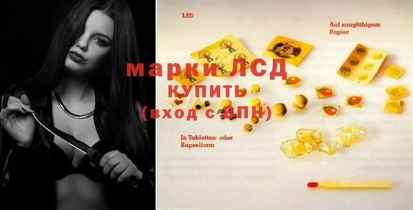дмт Богданович