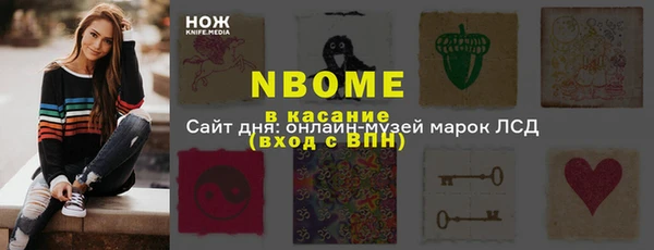 дмт Богданович