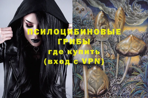 гидропоника Богородск
