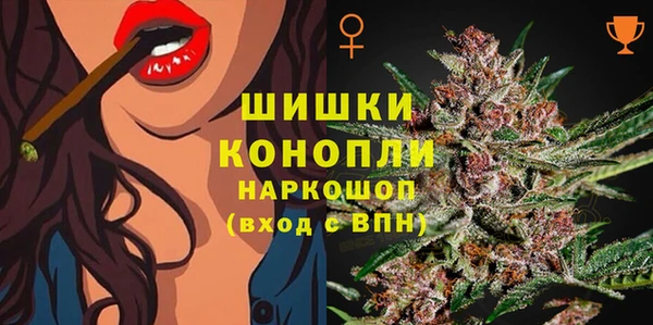 стафф Богородицк
