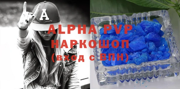 дмт Богданович