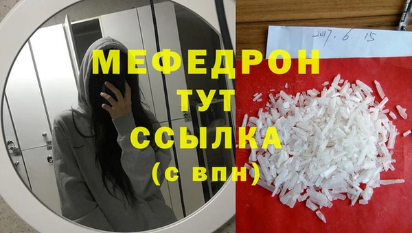 дмт Богданович