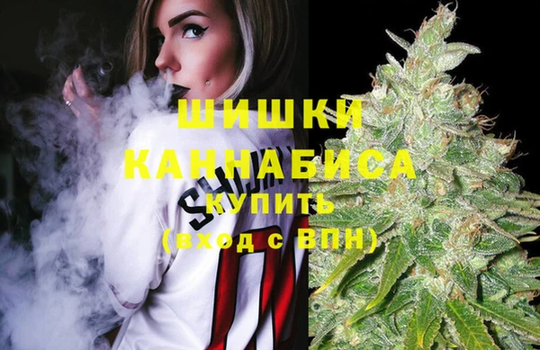 гидропоника Богородск