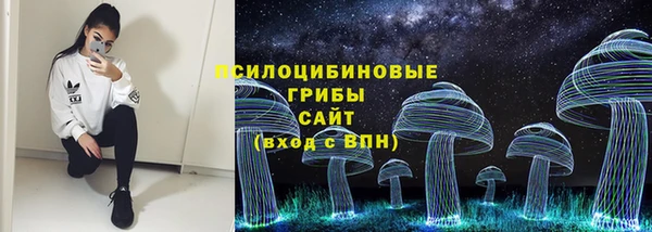стафф Богородицк