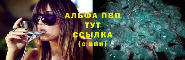 дмт Богданович