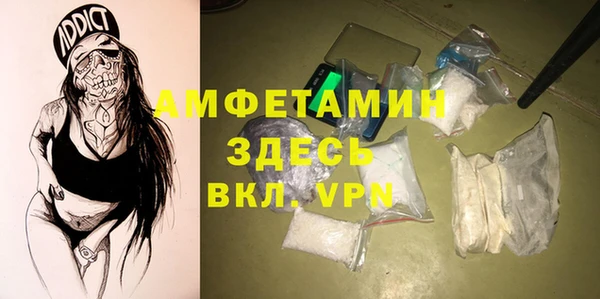 дмт Богданович