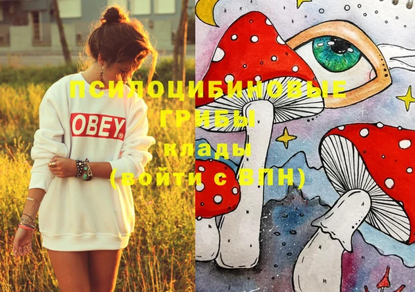 дмт Богданович